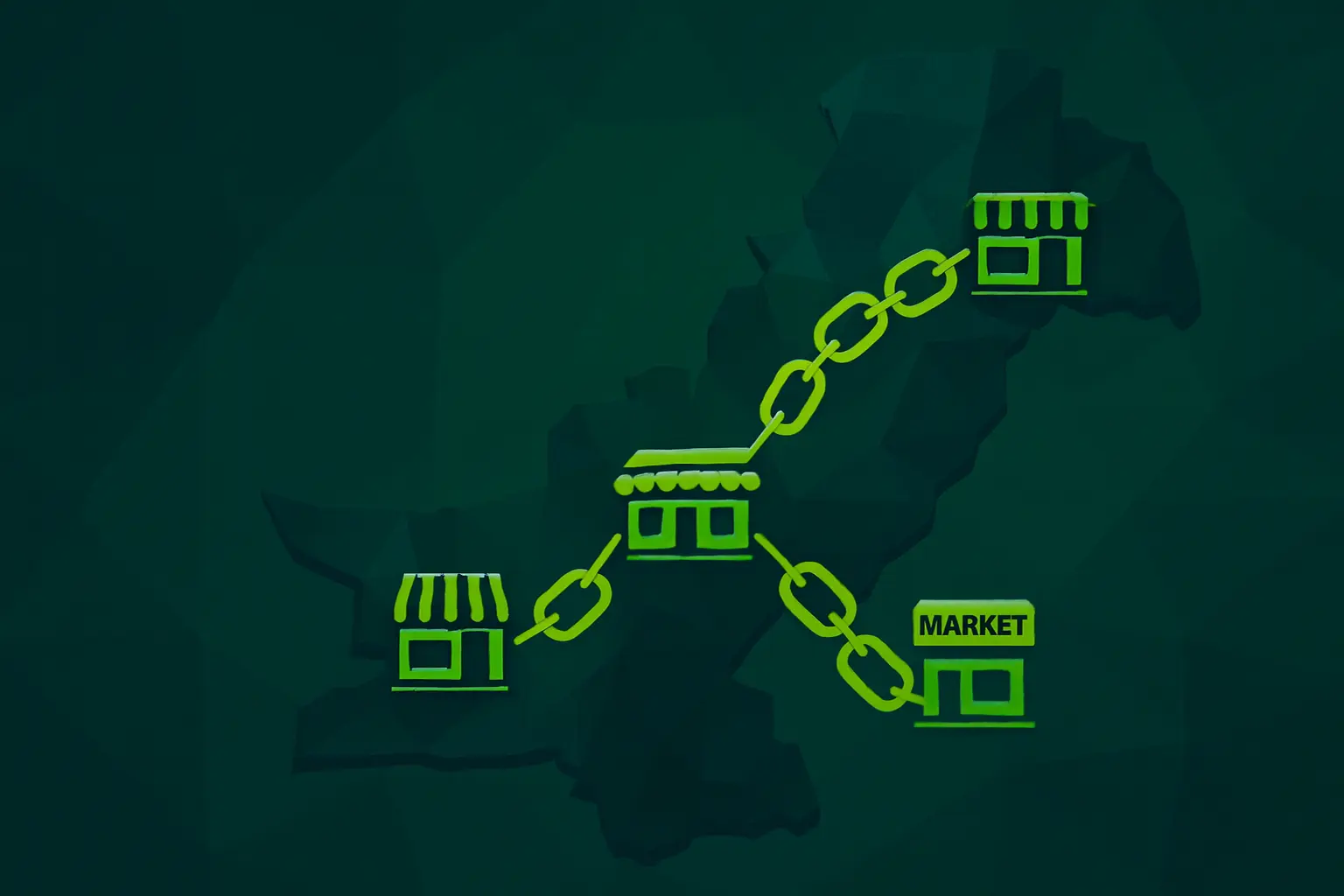 Building online authority for businesses in pakistan
